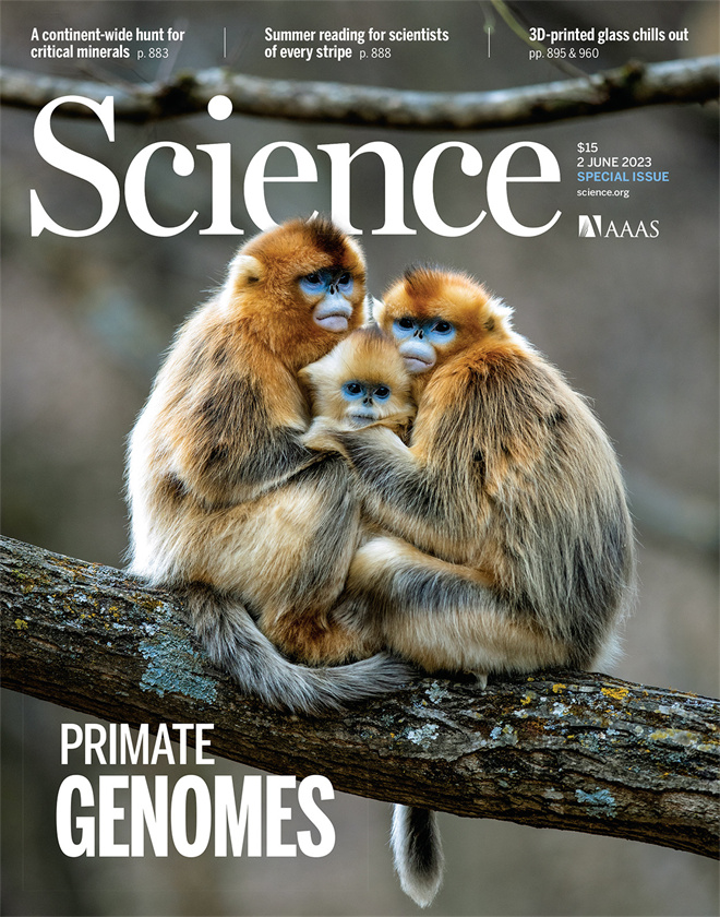 Science封面文章:BAIJIALE.COM金丝猴研究团队首次系统揭示灵长类社会演化之谜_fororder_《自然》封面.JPG